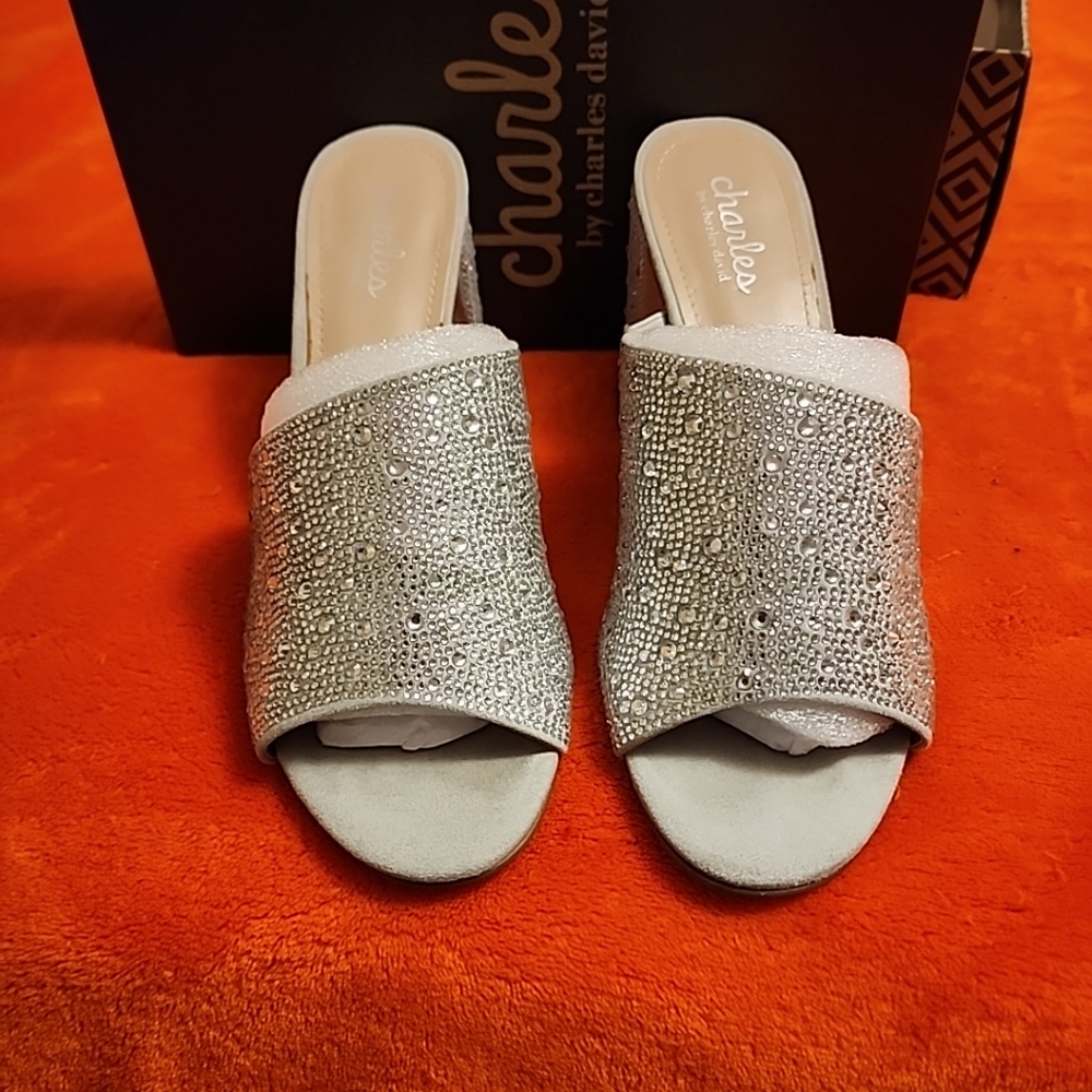 Charles David shoes